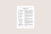 Sophia Media Kit + Resume, a Resume Template by studiolmh (Thumbnail 4 of 4)