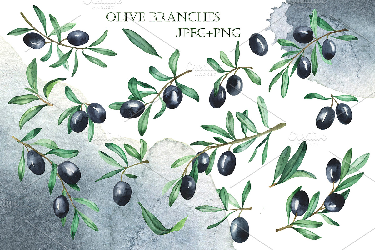 Watercolor olives, an Illustration by Watercolor & sketches (Photo 3 of 7)