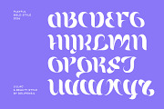 Lillac - A Elegant Beauty Typeface, a Serif Font by delipensil (Thumbnail 6 of 10)
