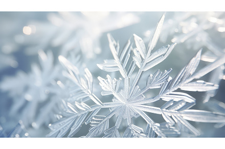 ornament holiday hoarfrost card, a Holiday Photo by pikepicture