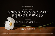 Avonte - Elegant Serif Font, a Serif Font by Graphicxell (Thumbnail 8 of 8)