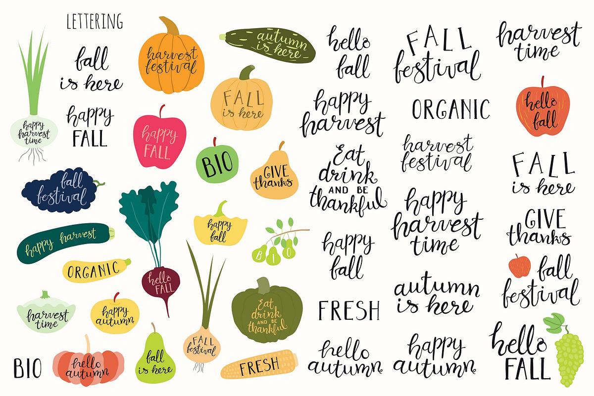 Happy Harvest Vector Illustrations, a Food Illustration by sceptical cactus (Photo 4 of 12)