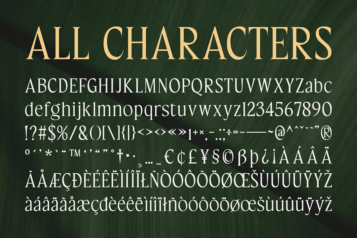 CS Chisa – Elegant Font, a Serif Font by Craft Supply Co. (Photo 8 of 8)