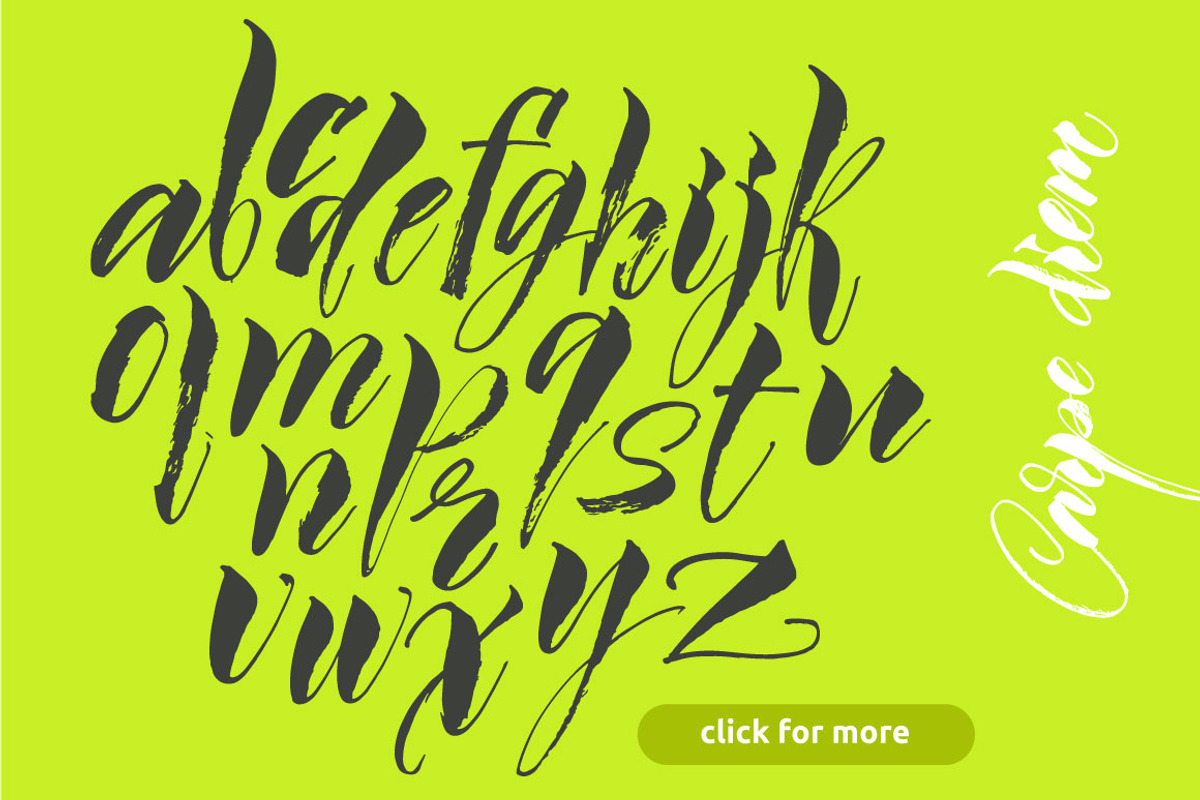 Calligraphic typeface, an Illustration by Vera Holera
