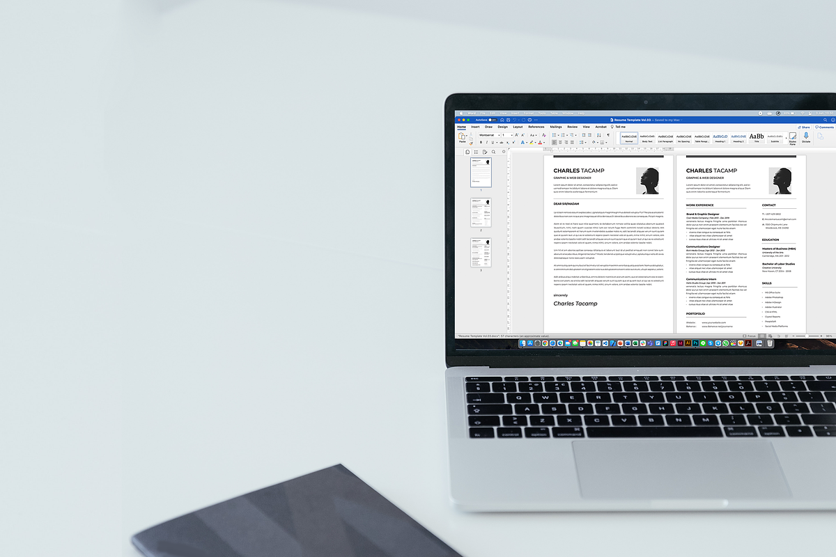 Professional CV Resume, a Resume Template by Faiz zakharia (Photo 7 of 7)