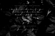 Miss Catlyne // Handwritten Script, a Script Font by Bluestudio (Thumbnail 9 of 10)