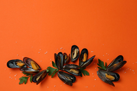 Fresh mussels on orange background, space for text, a Food & Drink Photo by AtlasStudio