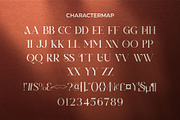 Xerina || Modern Serif Font, a Serif Font by Idea Studio (Thumbnail 9 of 10)