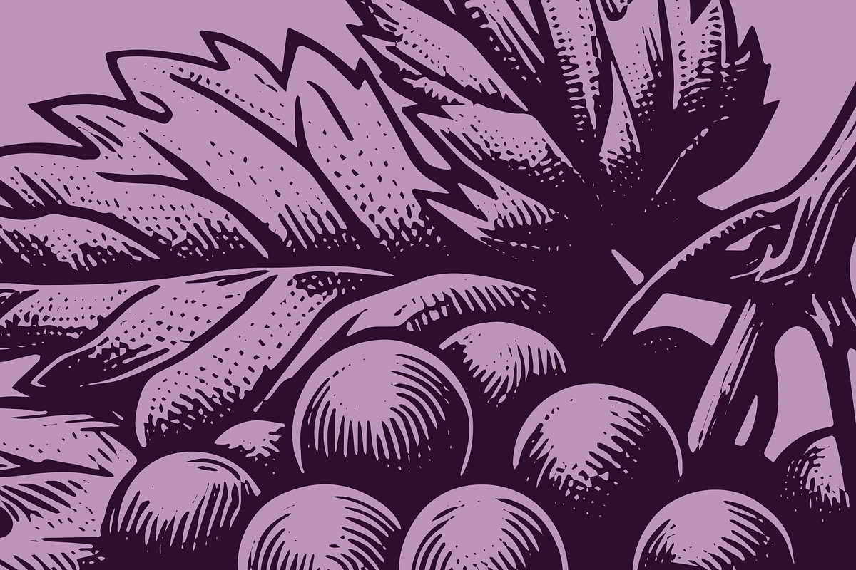Woodcut-Style Wine Grapes, a Food Illustration by Electric Ink (Photo 2 of 2)