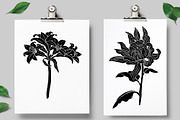 Vintage botanica, an Object Graphic by Mii Lab (Thumbnail 3 of 8)