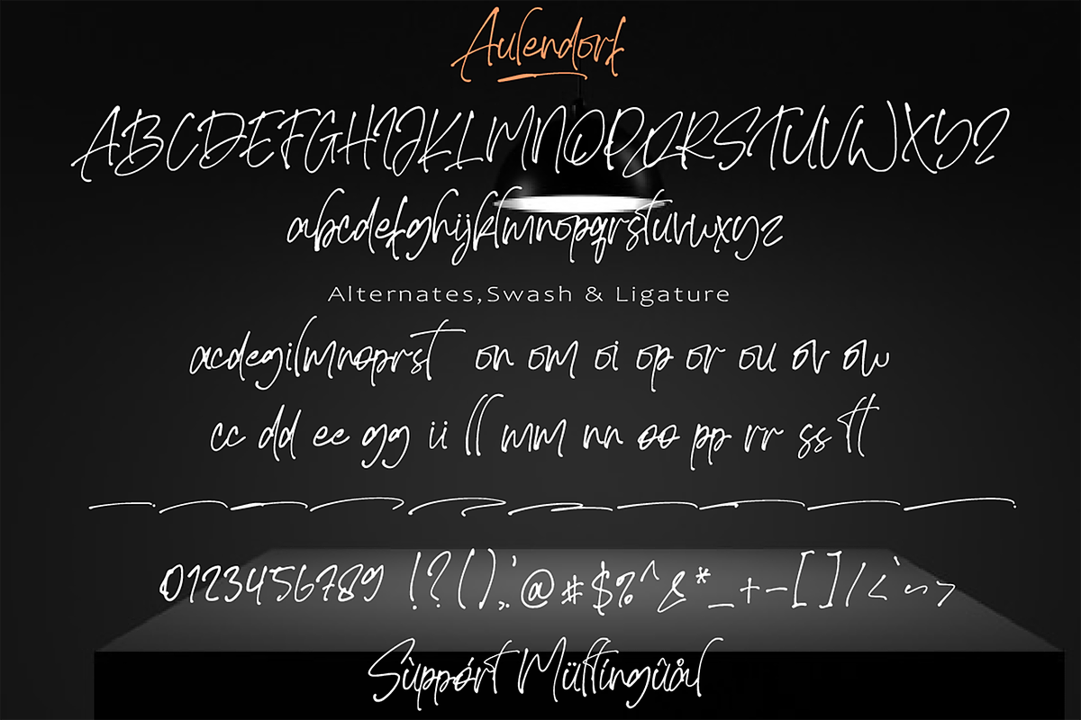 Aulendorf, a Script Font by AMINMARIO (Photo 15 of 17)