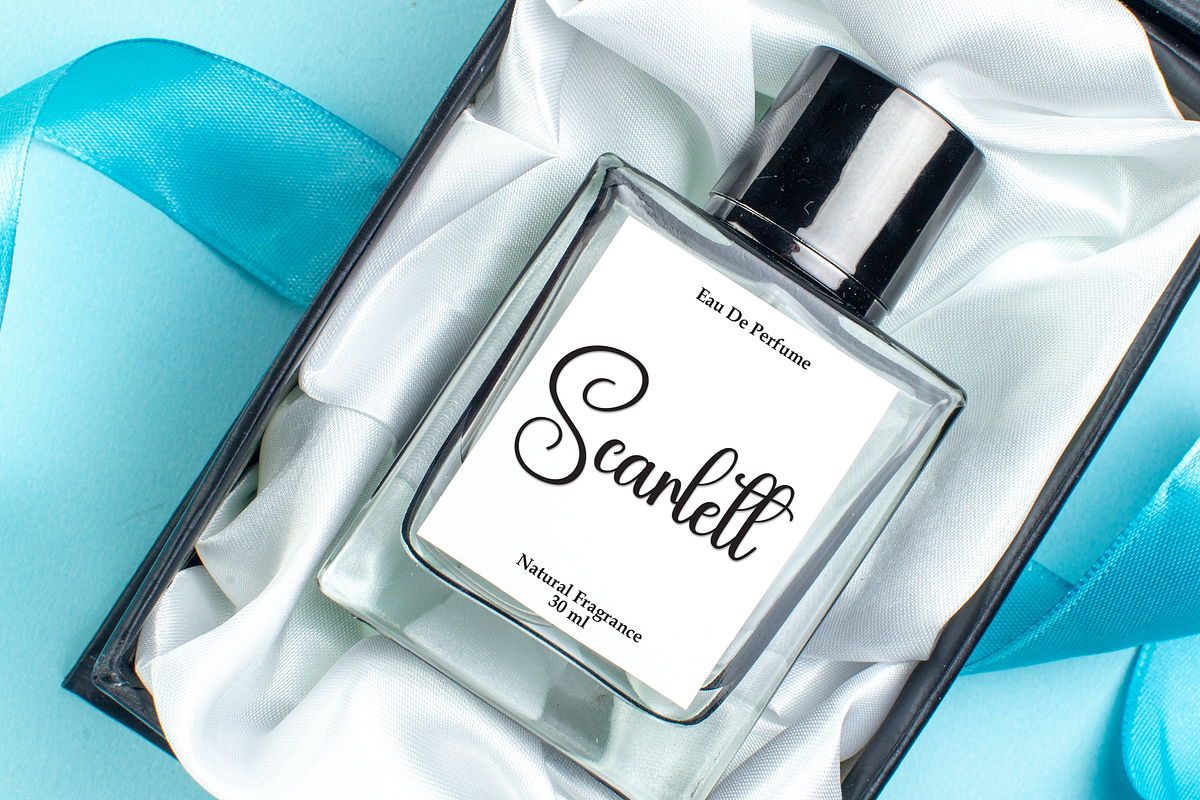 Holiday | Script Font, a Handwritten Font by Scratchones (Photo 4 of 8)