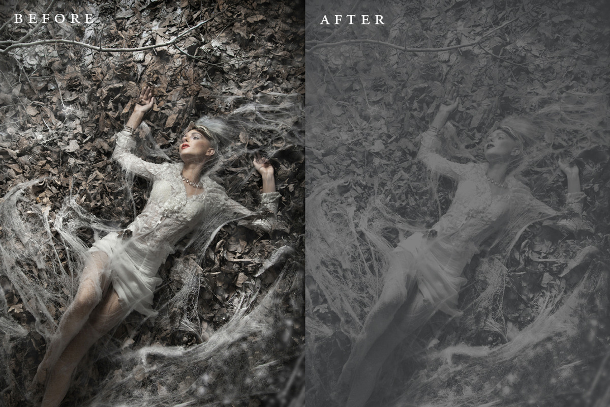 Silver Screen Photoshop Action, an Action Add-On by The Roark Division (Photo 2 of 5)