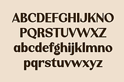 Malyin – Elegant Retro Typeface, a Sans Serif Font by MaikoHatta (Thumbnail 6 of 8)