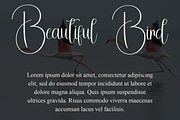 01 Special Sunday, a Sans Serif Font by InermediaSTUDIO (Thumbnail 23 of 24)