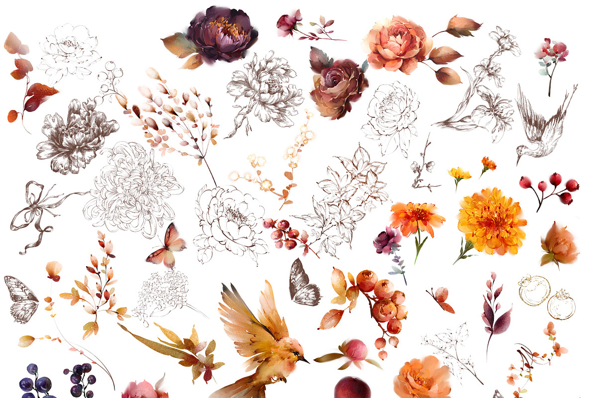 Watercolor autumn flowers bundle art, a Decorative Illustration by Edith’s World (Photo 6 of 9)