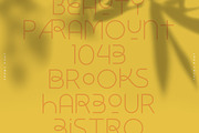 Designer Font Bundle • 80% Off, a Font by vuuuds (Thumbnail 32 of 34)