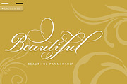 Laurente script, a Script Font by Slex Studio (Thumbnail 2 of 10)