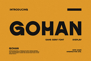 Gohan Modern Futuristic Sans Serif, a Sans Serif Font by Perfectype