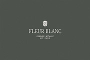 Skincare Logo Kit - Canva, a Branding & Logo Template by Willoe Studio (Thumbnail 12 of 19)