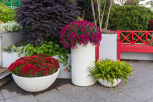 Decorative flower arrangements, a Nature Photo by Imaginarium