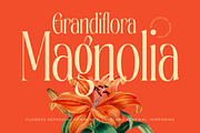 Bagena Mathew Bold Tall Serif, a Serif Font by timelesstype.co (Thumbnail 16 of 20)