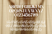 Brighton Daction Serif Font, a Serif Font by Graphicxell (Thumbnail 14 of 19)