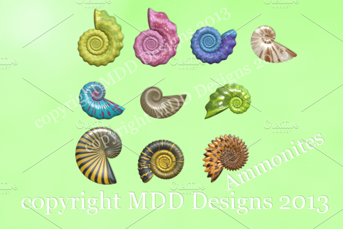 Ammonites, a Graphic by MDD Designs