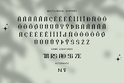 Drivzen - Modern Serif Typeface, a Serif Font by overlaytemplates (Thumbnail 5 of 5)