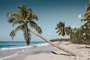 Travel & Adventure Lightroom Presets, an Action Add-On by Lensgrade.com (Thumbnail 11 of 20)