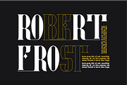 GENERATE CONDENSED FONT, a Serif Font by 177Studio (Thumbnail 3 of 8)