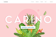 Carino - A Modern Elegant Typeface, a Sans Serif Font by Kaligra.co (Thumbnail 1 of 14)