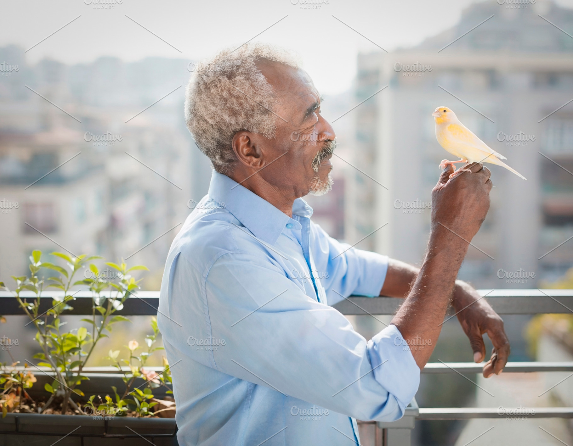 Elderly man holding yellow bird on balcony, a Person Photo by DanFLCreativo