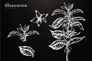 Coffee Illustration, an Illustration by Elysamunster (Thumbnail 5 of 7)