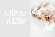 Wistenia Typeface, a Serif Font by Ivan Rosenberg (Thumbnail 7 of 18)