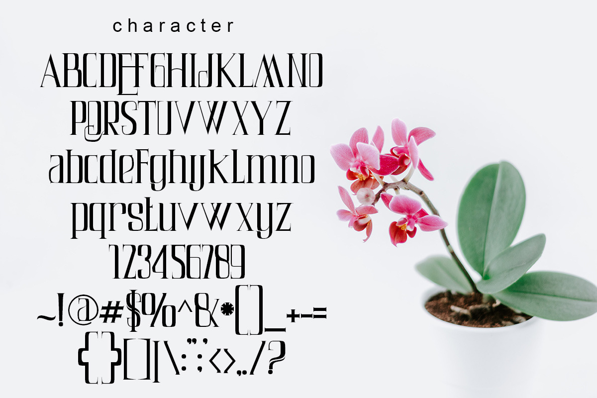 Air Leving, a Serif Font by Bramcreative (Photo 5 of 10)