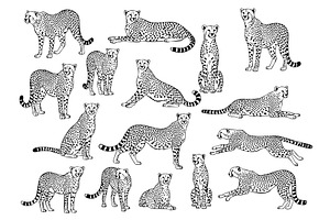vector of cheetah in diverse poses., an Animal Illustration by yod67