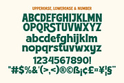 Choldem Rosther - Vintage Serif Disp, a Sans Serif Font by Afkari Studio (Thumbnail 8 of 10)