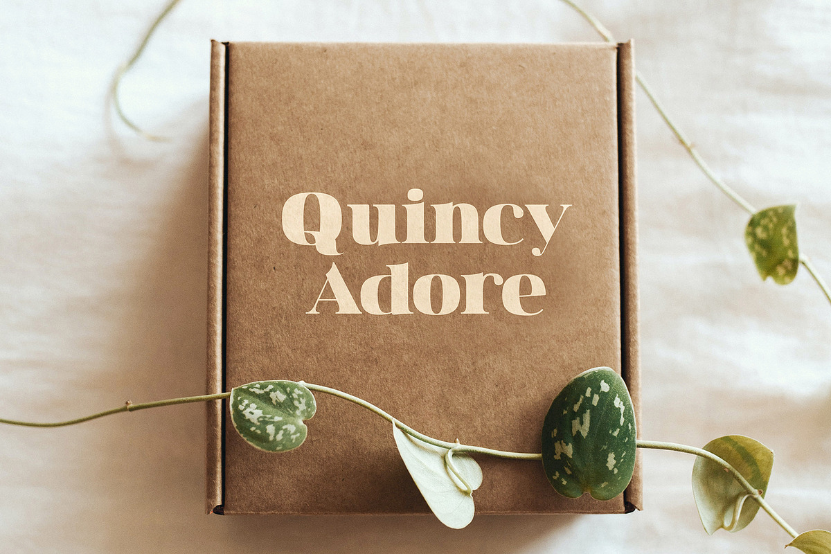 Junie | A High-Contrast Serif Font, a Serif Font by Blythe Green (Photo 11 of 12)