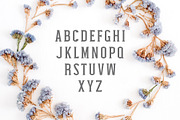 Nasya Slab Serif 4 Font Family Pack, a Slab Serif Font by Creativetacos (Thumbnail 2 of 6)