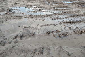 Muddy ground with water puddles and tracks, a Nature Photo by DanFLCreativo