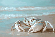 Coastal Beach Wall Art Collection, a Decorative Illustration by PrintablesByFranklyn (Thumbnail 8 of 9)