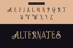 Aston - Vintage Serif Font