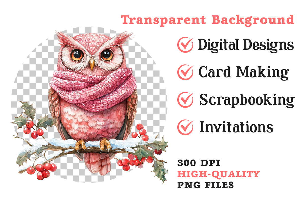 Christmas Owl Watercolor Clipart, an Illustration by Dream Creation (Photo 8 of 8)