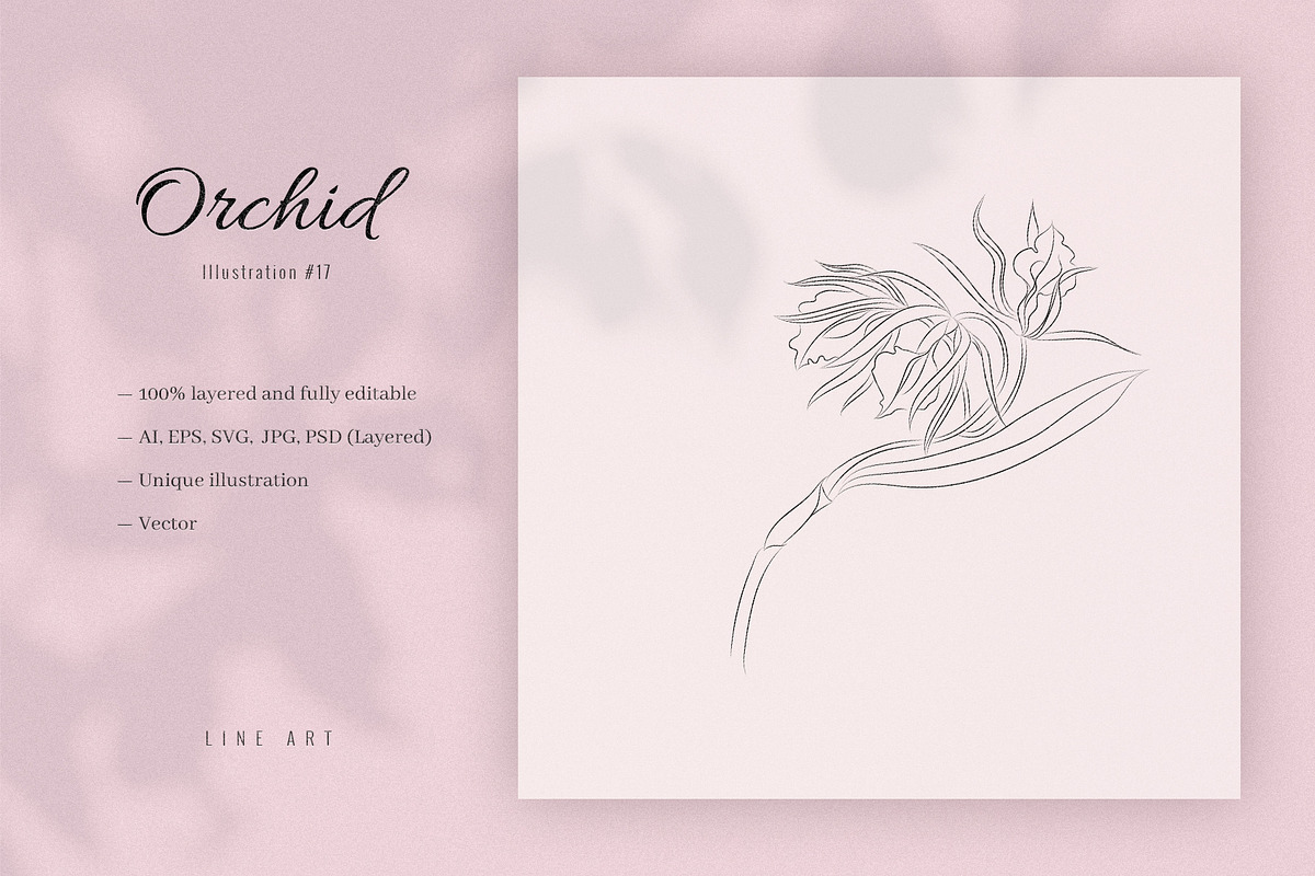 Orchid #17. Line Art Illustration, a Decorative Illustration by lapi-olesya (Photo 1 of 3)