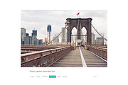 Debut tumblr theme, a Websites & App Template by Pixel Revel (Thumbnail 2 of 4)
