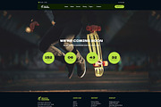 Skateboard Lesson Elementor Kit, a WordPress Template by UInstrument (Thumbnail 10 of 10)