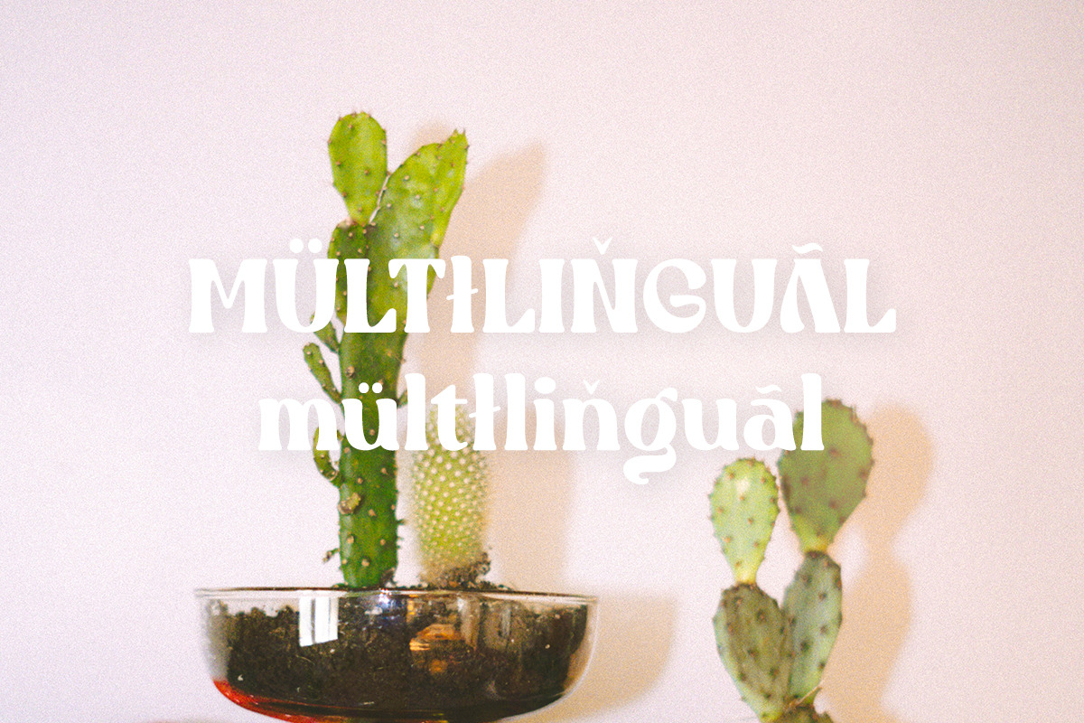 Mono Grass | Joyful Display, a Serif Font by ClevUs (Photo 10 of 11)