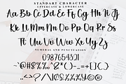 Rustic Signature, a Handwritten Font by FreshTypeINK (Thumbnail 5 of 8)