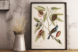 Vintage floral illustration painted